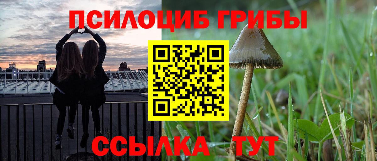 Псилоцибиновые грибы Psilocybine cubensis  Вход с VPN  Баксан  Псилоцибиновые грибы GOLDEN TEACHER 